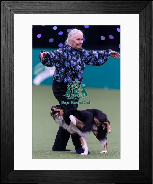 Framed Print : Heather Smith with Wee Roberts The Bruce Framed Print : Heather Smith with Wee Roberts The Bruce