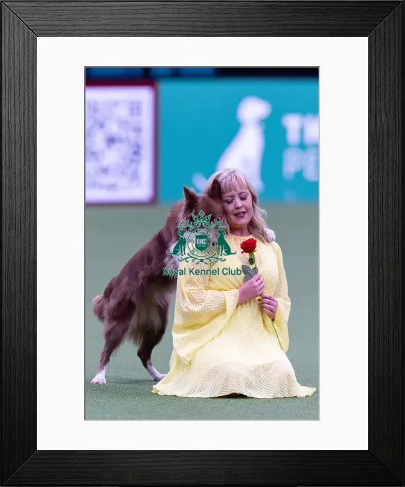 Framed Print : Lucy Heath with Stillmoor Star Turn Framed Print : Lucy Heath with Stillmoor Star Turn