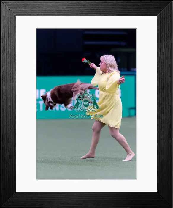 Framed Print : Lucy Heath with Stillmoor Star Turn Framed Print : Lucy Heath with Stillmoor Star Turn
