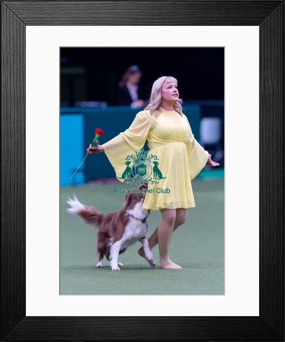Framed Print : Lucy Heath with Stillmoor Star Turn Framed Print : Lucy Heath with Stillmoor Star Turn
