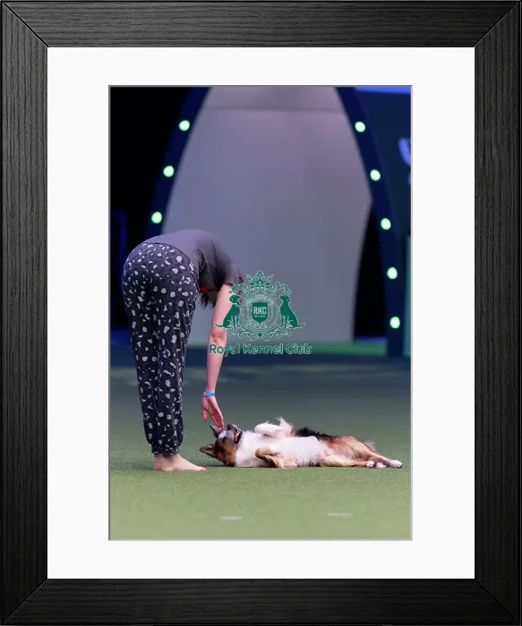 Framed Print : Lucy Creek with Deltamadog Pobyddion Cae Framed Print : Lucy Creek with Deltamadog Pobyddion Cae