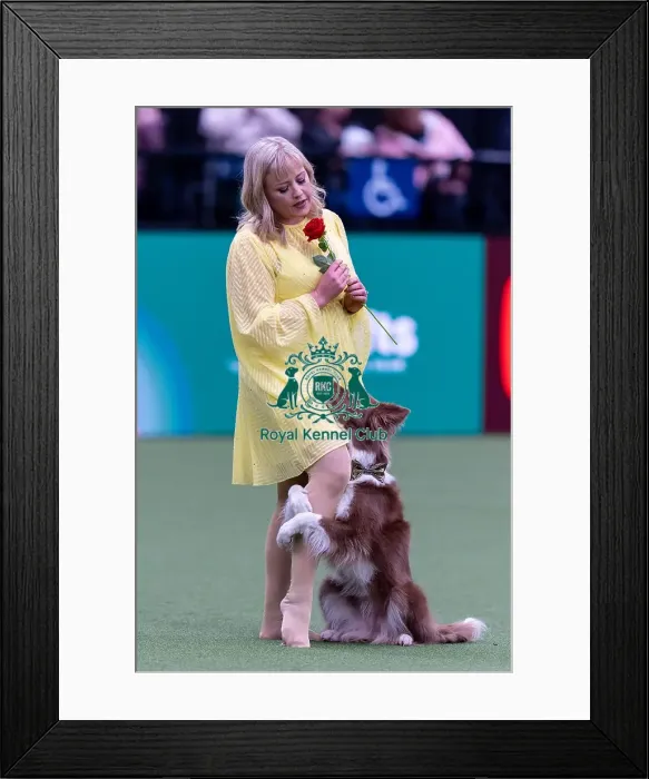 Framed Print : Lucy Heath with Stillmoor Star Turn Framed Print : Lucy Heath with Stillmoor Star Turn