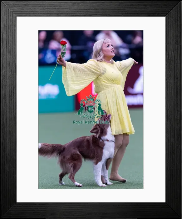 Framed Print : Lucy Heath with Stillmoor Star Turn Framed Print : Lucy Heath with Stillmoor Star Turn