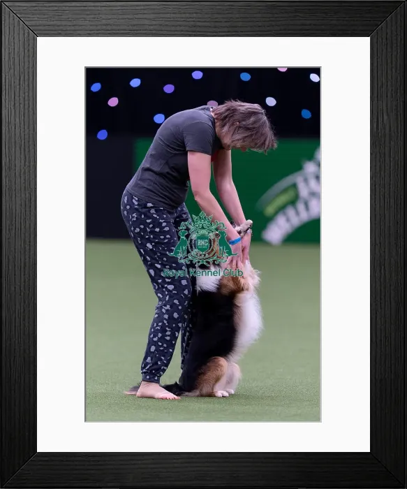 Framed Print : Lucy Creek with Deltamadog Pobyddion Cae Framed Print : Lucy Creek with Deltamadog Pobyddion Cae