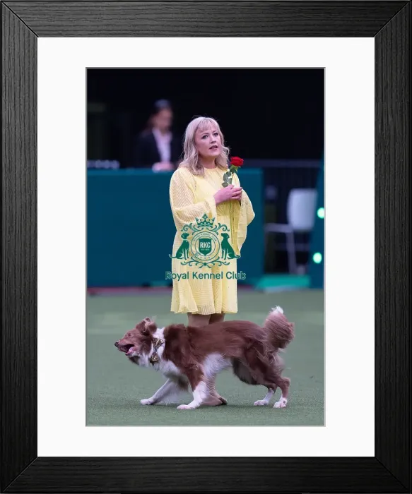 Framed Print : Lucy Heath with Stillmoor Star Turn Framed Print : Lucy Heath with Stillmoor Star Turn