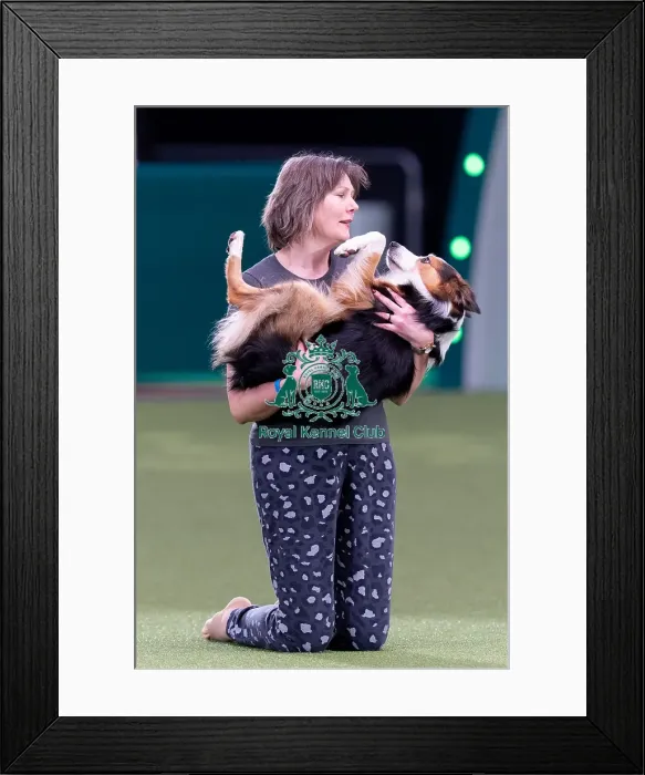 Framed Print : Lucy Creek with Deltamadog Pobyddion Cae Framed Print : Lucy Creek with Deltamadog Pobyddion Cae