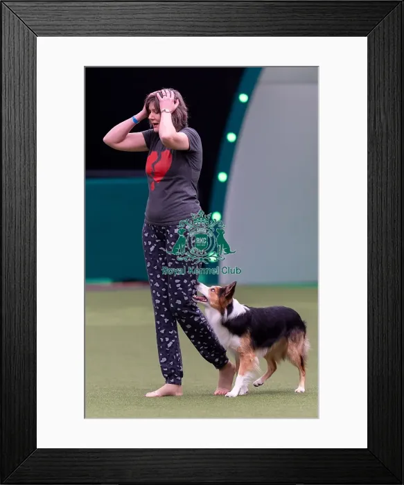 Framed Print : Lucy Creek with Deltamadog Pobyddion Cae Framed Print : Lucy Creek with Deltamadog Pobyddion Cae