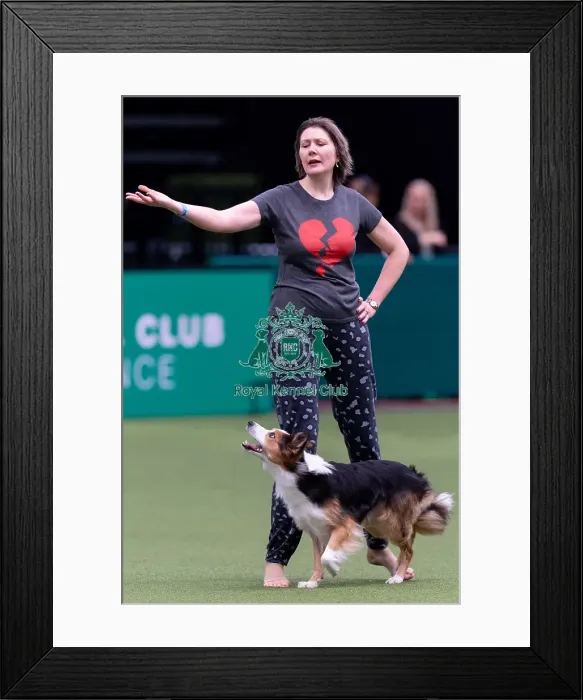Framed Print : Lucy Creek with Deltamadog Pobyddion Cae Framed Print : Lucy Creek with Deltamadog Pobyddion Cae