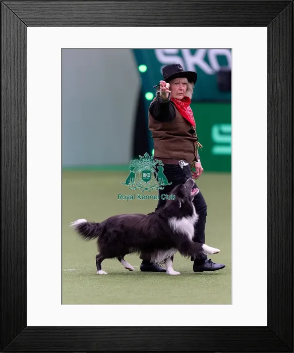 Framed Print : Carole Dodson with Borderdance Dream Legend From Kinaway