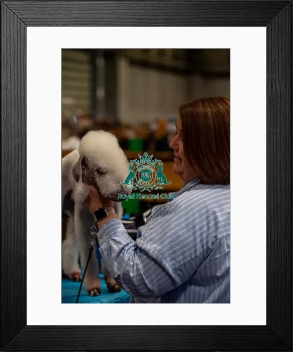 Framed Print : Heather Nuii from Lancashire with Angus Framed Print : Heather Nuii from Lancashire with Angus