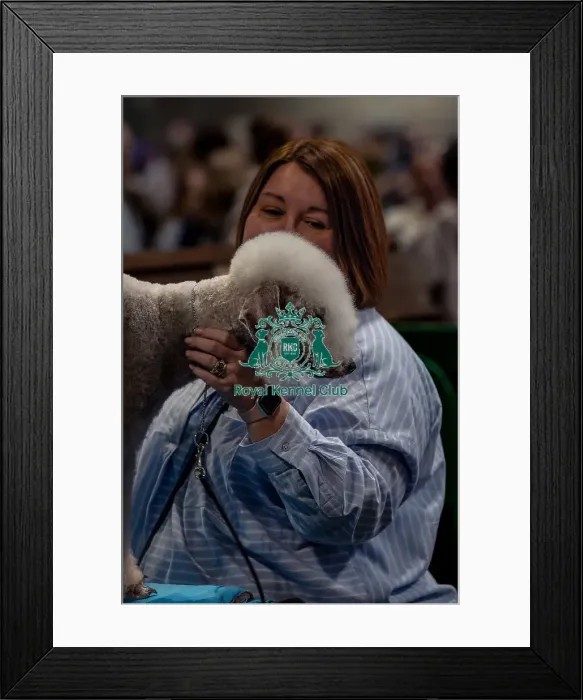 Framed Print : Heather Nuii from Lancashire with Angus Framed Print : Heather Nuii from Lancashire with Angus