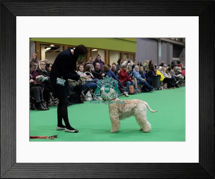 Framed Print : Dannebriel Me & my Girl, a Soft Coated Wheaten Terrier