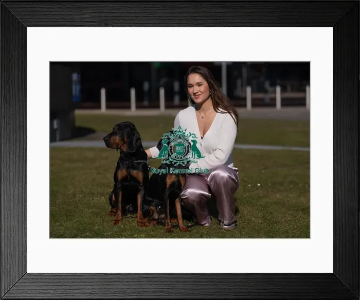 Framed Print : Crufts 2025 BeatMedia, RKC111368 Framed Print : Crufts 2025 BeatMedia, RKC111368