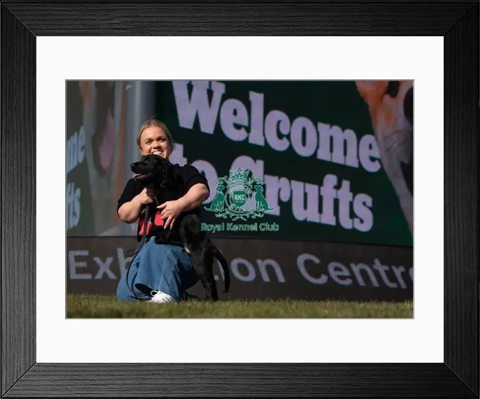 Framed Print : Paralympian Ellie Simmonds with Cocker Spaniel puppy Kipling at the launch of Crufts 2025 Framed Print : Paralympian Ellie Simmonds with Cocker Spaniel puppy Kipling at the launch of Crufts 2025