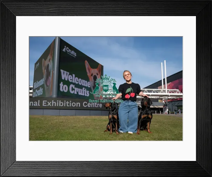 Framed Print : Paralympian Ellie Simmonds OBE with Polish Hunting Dogs Bojar and Pippa at the launch of Crufts 2025 Framed Print : Paralympian Ellie Simmonds OBE with Polish Hunting Dogs Bojar and Pippa at the launch of Crufts 2025