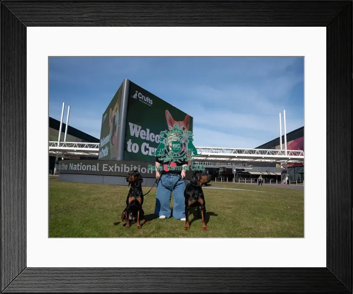 Framed Print : Paralympian Ellie Simmonds OBE with Polish Hunting Dogs Bojar and Pippa at the launch of Crufts 2025 Framed Print : Paralympian Ellie Simmonds OBE with Polish Hunting Dogs Bojar and Pippa at the launch of Crufts 2025