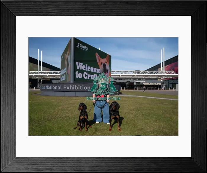 Framed Print : Paralympian Ellie Simmonds OBE with Polish Hunting Dogs Bojar and Pippa at the launch of Crufts 2025 Framed Print : Paralympian Ellie Simmonds OBE with Polish Hunting Dogs Bojar and Pippa at the launch of Crufts 2025