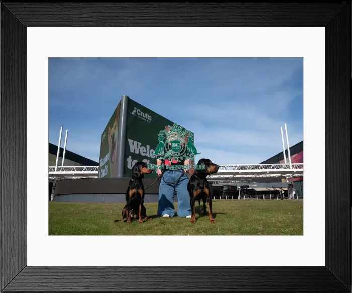 Framed Print : Paralympian Ellie Simmonds OBE with Polish Hunting Dogs Bojar and Pippa at the launch of Crufts 2025 Framed Print : Paralympian Ellie Simmonds OBE with Polish Hunting Dogs Bojar and Pippa at the launch of Crufts 2025
