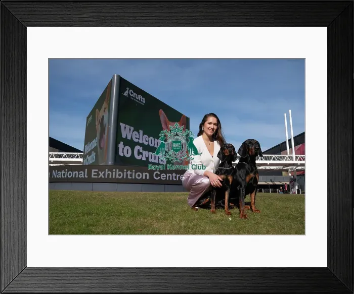 Framed Print : Polish Hunting Dogs Bojar and Pippa and owner Gabi Johnston at the launch of Crufts 2025 Framed Print : Polish Hunting Dogs Bojar and Pippa and owner Gabi Johnston at the launch of Crufts 2025