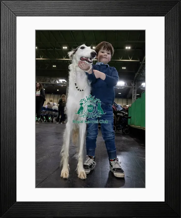 Framed Print : Camden Levison, age 5, from Malvern