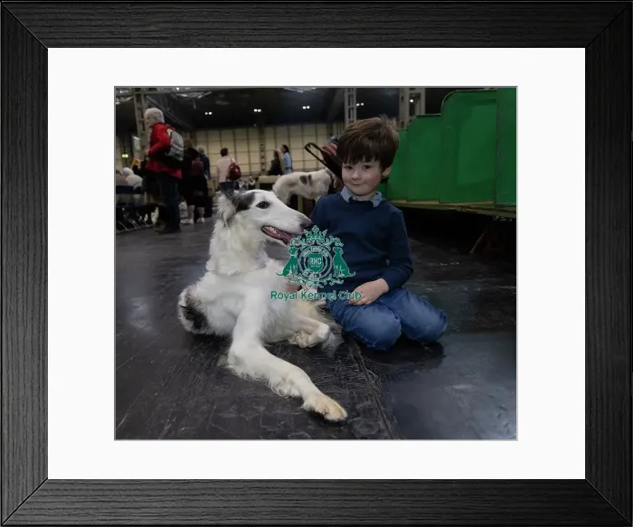 Framed Print : Camden Levison, age 5, from Malvern