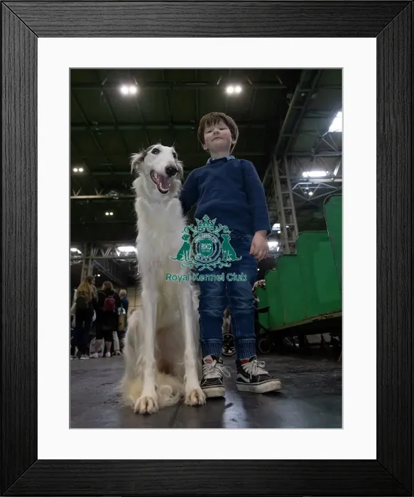 Framed Print : Camden Levison, age 5, from Malvern