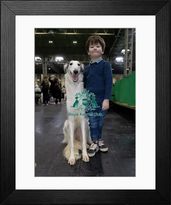 Framed Print : Camden Levison, age 5, from Malvern
