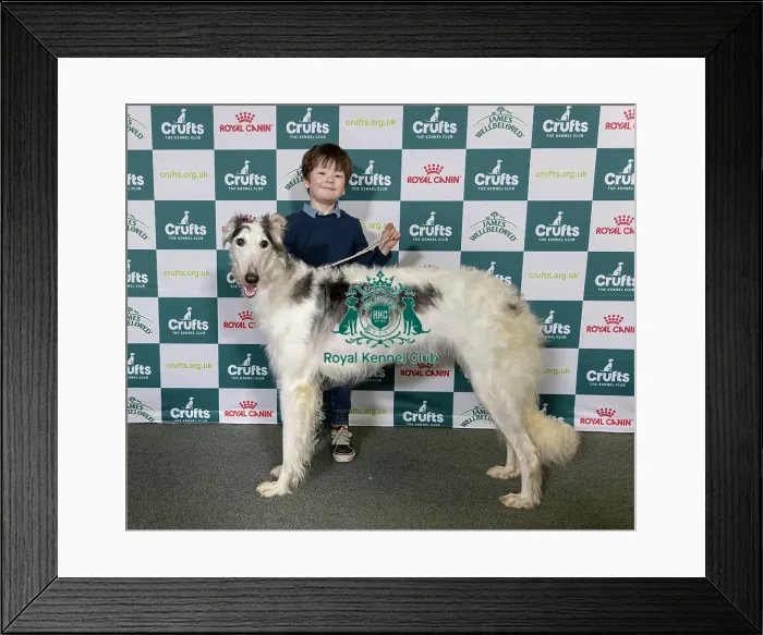 Framed Print : Camden Levison, age 5, from Malvern