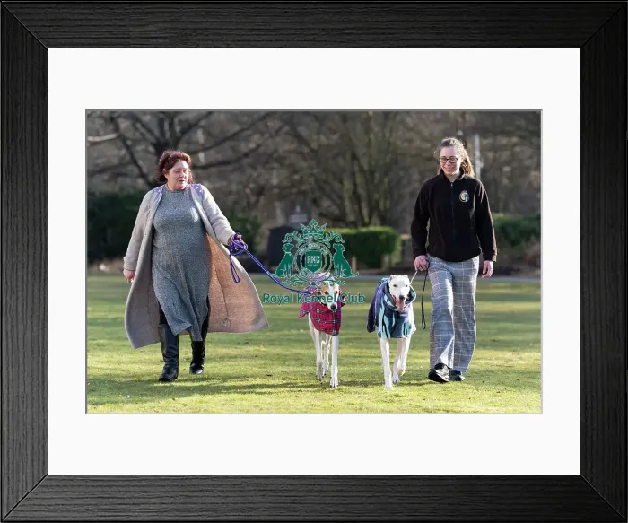 Framed Print : Michaela Howlett with Champion Skyswift Moonlight Serenade Framed Print : Michaela Howlett with Champion Skyswift Moonlight Serenade