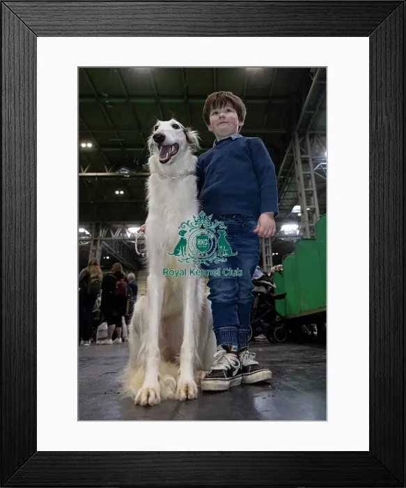 Framed Print : Camden Levison, age 5, from Malvern