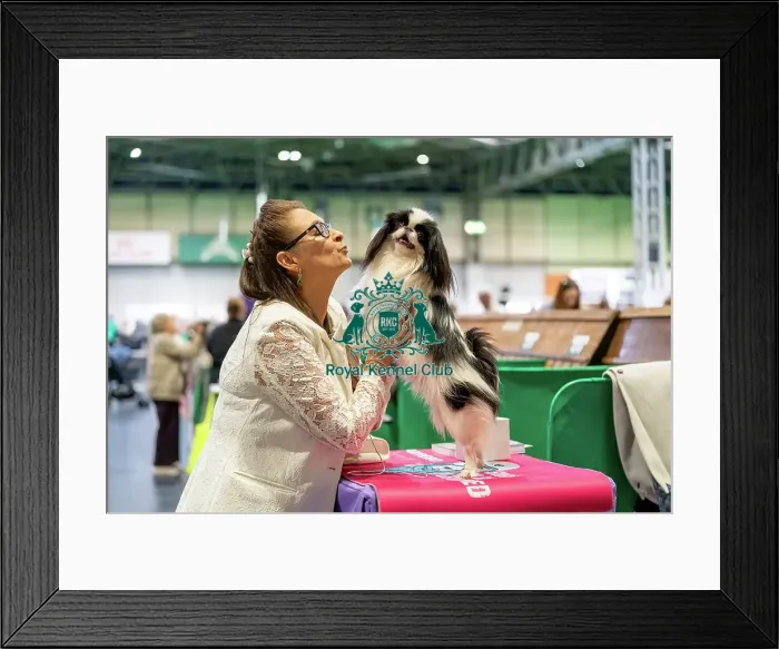 Framed Print : Owner with Japanese Chin Framed Print : Owner with Japanese Chin