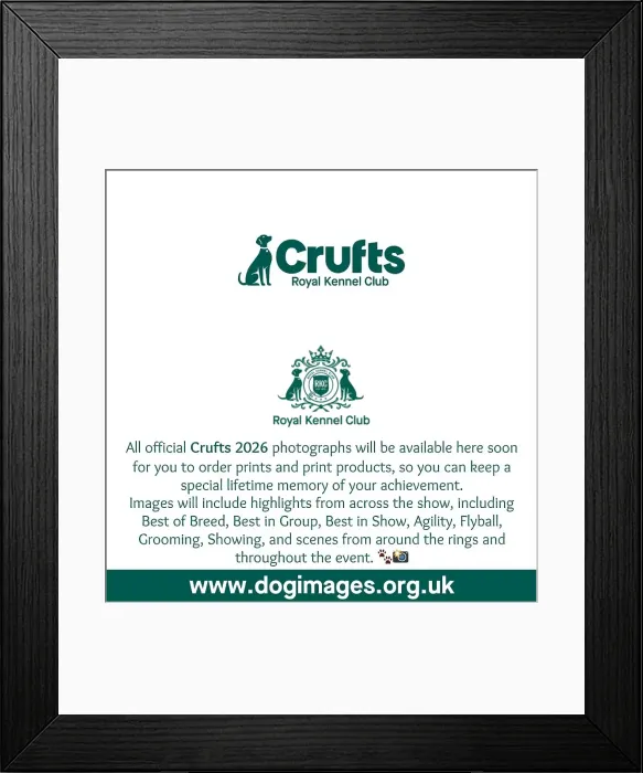 Framed Print : MediaStoreHouse Crufts 2026 holding image - 1 Framed Print : MediaStoreHouse Crufts 2026 holding image - 1