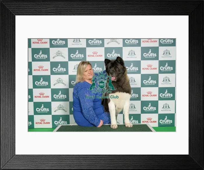 Framed Print : Handler Lisa Oliver-Bridges, with Fury Framed Print : Handler Lisa Oliver-Bridges, with Fury