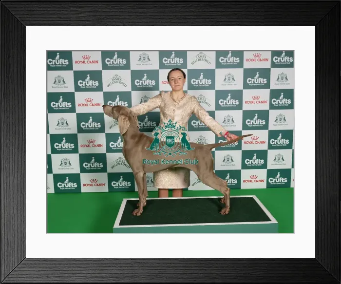 Framed Print : Dearbhla Nugent from Armaugh, with Ah Ch / ir Sh / int Ch Callabanks Dervlas Dream Framed Print : Dearbhla Nugent from Armaugh, with Ah Ch / ir Sh / int Ch Callabanks Dervlas Dream