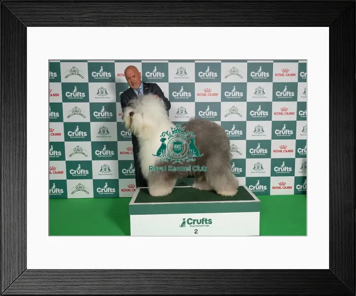 Framed Print : Zsolt Hano from Hungary, with Jack