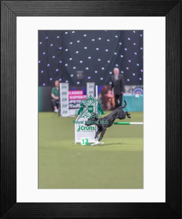 Framed Print : Devongem Miss Independent with Lauren Langman Framed Print : Devongem Miss Independent with Lauren Langman
