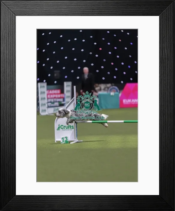 Framed Print : Glendream Another Monster of Ashpen - Ashleigh Butler Framed Print : Glendream Another Monster of Ashpen - Ashleigh Butler