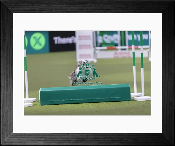 Framed Print : Rachel Ward with Ivormyth Double or Nothing Framed Print : Rachel Ward with Ivormyth Double or Nothing