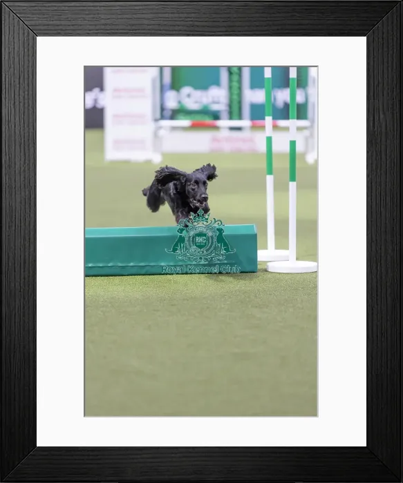 Framed Print : Devongem Miss Independent with Lauren Langman Framed Print : Devongem Miss Independent with Lauren Langman
