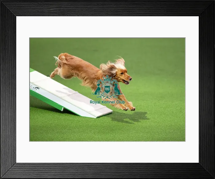 Framed Print : Novice Cup final Framed Print : Novice Cup final