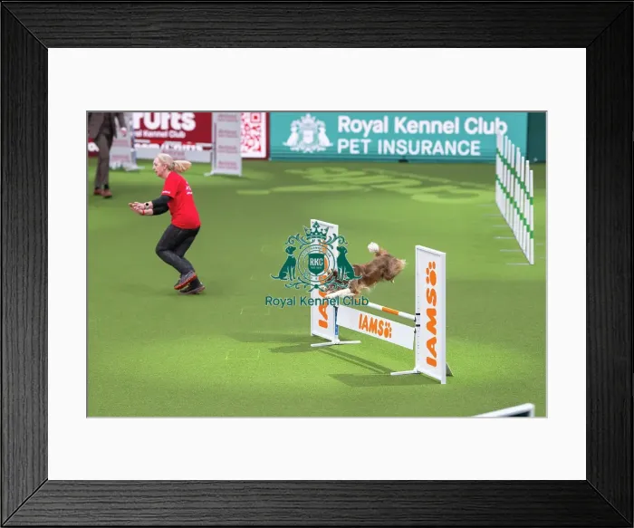 Framed Print : Novice Cup Intermediate Framed Print : Novice Cup Intermediate