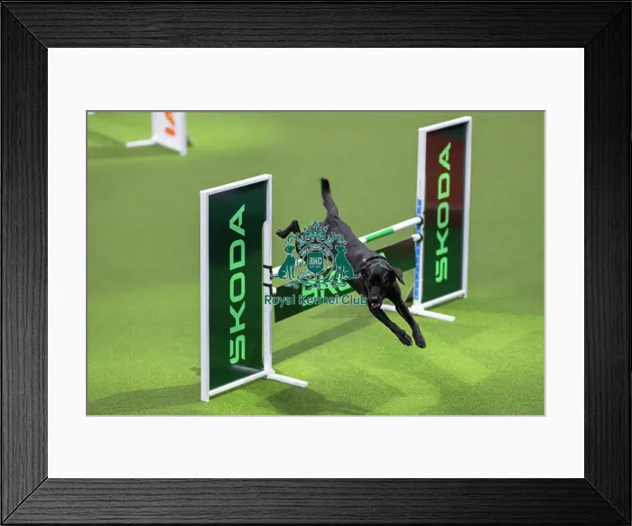 Framed Print : Amy Kierl was the winner of the novice cup Large final on Thursday 5th Framed Print : Amy Kierl was the winner of the novice cup Large final on Thursday 5th