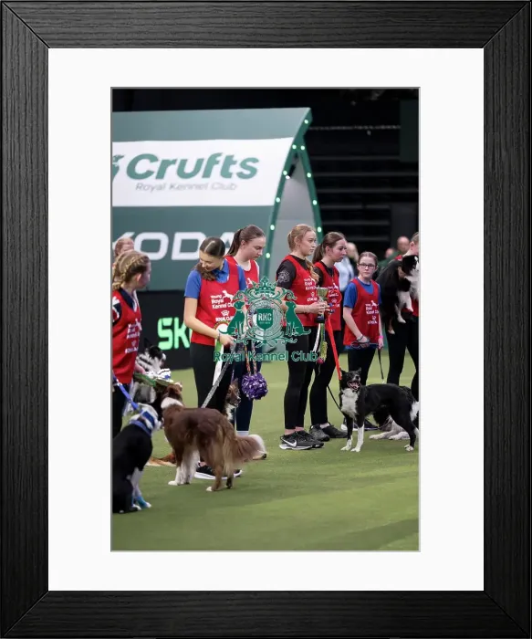 Framed Print : YRKC Agility Dog of the Year Final Framed Print : YRKC Agility Dog of the Year Final