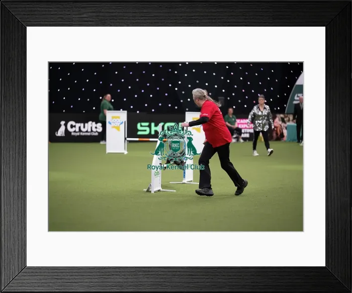 Framed Print : Agility Championships Small / Medium Final