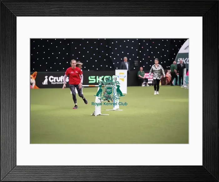 Framed Print : Agility Championships Small / Medium Final