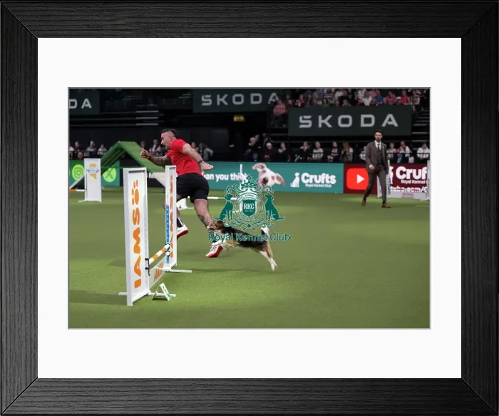 Framed Print : Crufts Novice Cup Agility Final Framed Print : Crufts Novice Cup Agility Final
