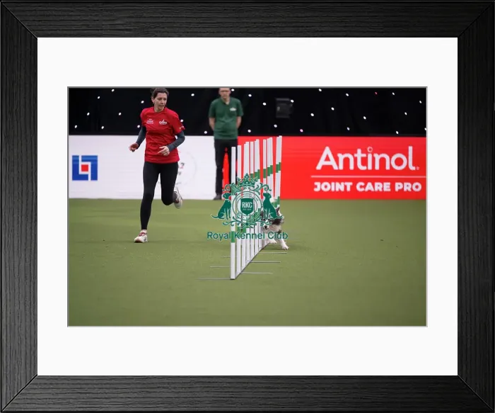 Framed Print : Crufts Novice Cup Agility Final Framed Print : Crufts Novice Cup Agility Final