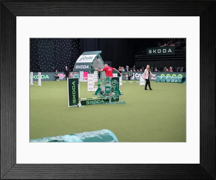 Framed Print : Crufts Novice Cup Agility Final