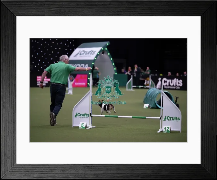 Framed Print : Rescue Dog Agility