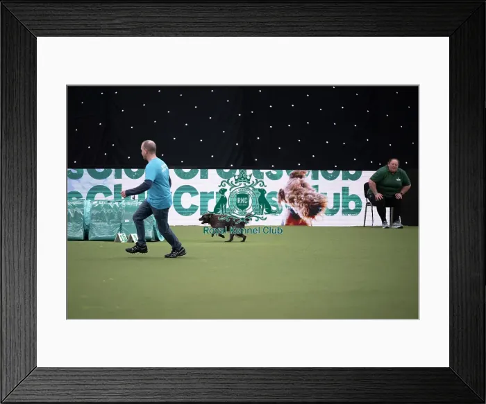 Framed Print : Rescue Dog Agility